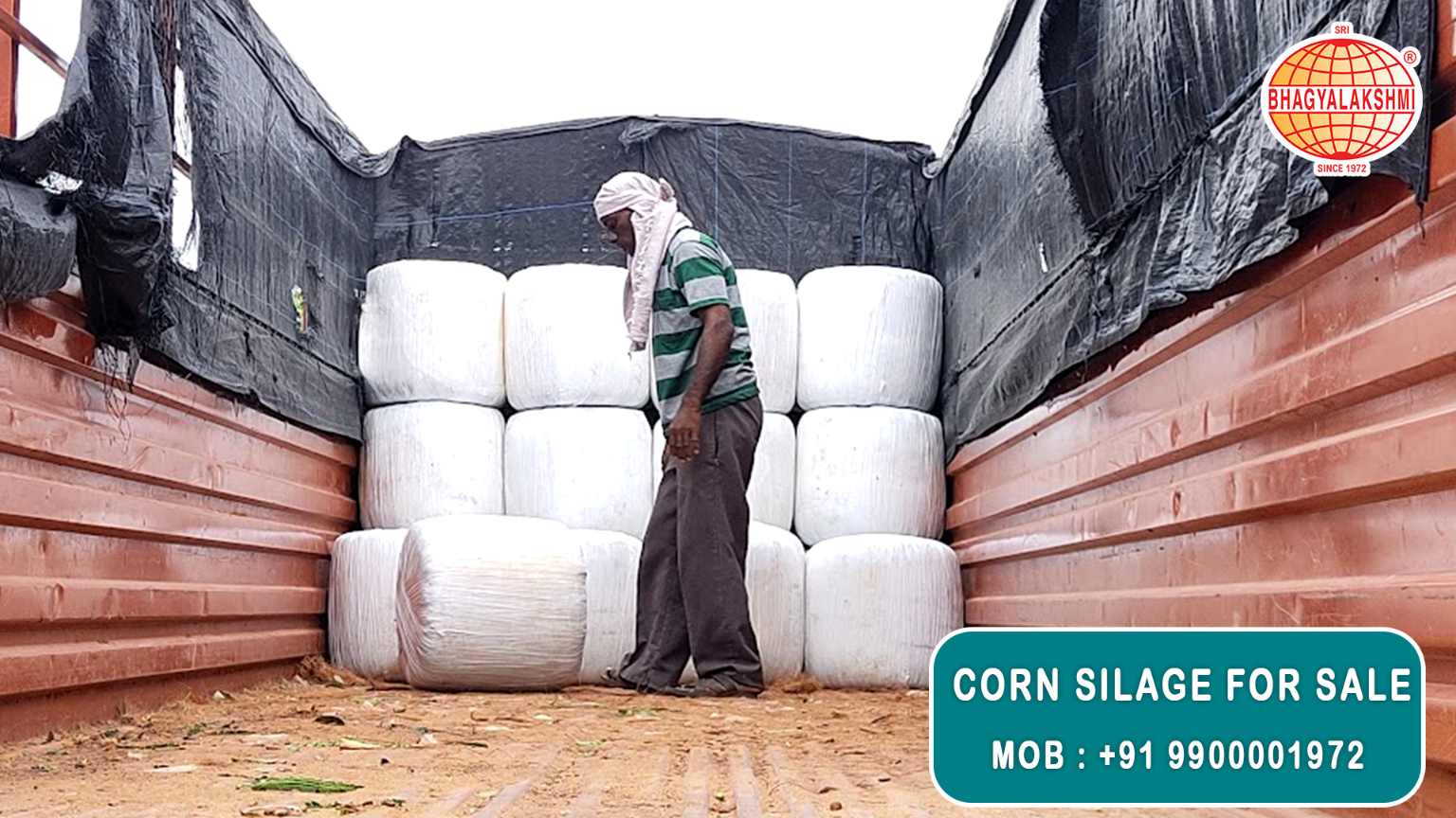 Corn Silage Suppliers in Bangalore | Corn Silage for Sale  |  Corn Silage, Baby Corn Silage manufacturers, suppliers & exporters in Bangalore | corn silage for sale in bangalore |  Sri Bhagyalakshmi Farms Corn Silage Bangalore| Silage Balers | Animal Feed Manufacturers | Production of Silage |Cattle feed manufacturers & suppliers - SBL Farms is solving the biggest fodder crisis in India, by supplying Silage bales, Bailing machines to dairy farmers, Cooperatives, Animal Husbandry | Best Cattle Feed Manufacturers & Silage Suppliers in India | Indias Best Baled Silage Producers